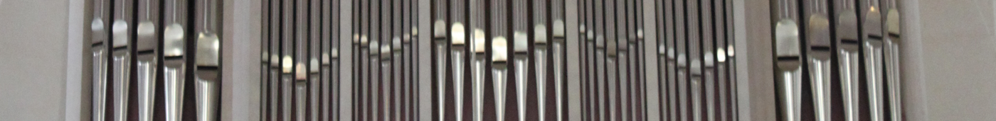 banner photo