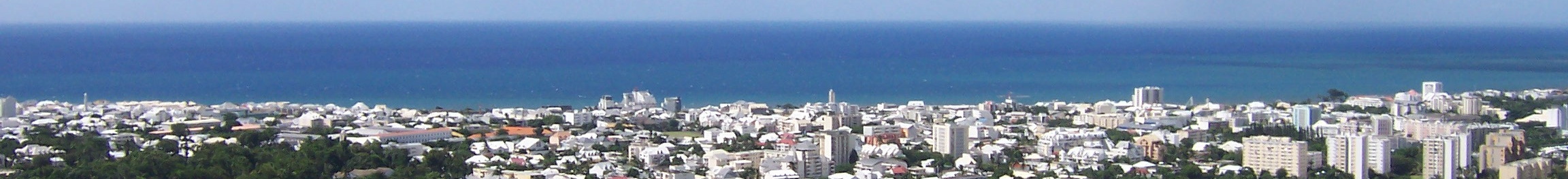 banner photo